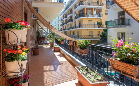 Apartment Bud: Pot De Fleur, Balcon, Appartement, Plante D'Appartement, Porche, Condominium, Balustrade, Chaise, Balustre, Hôtel