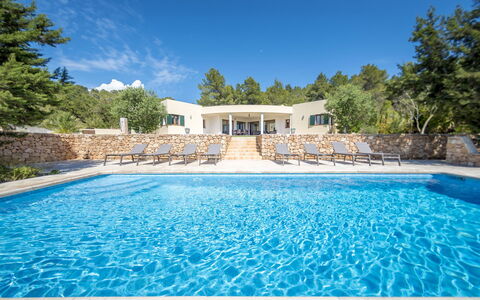 Villa Sharon: Bleu, Piscine, Aménagement Paysager, Biens, Recours, Tropiques, Eco Hôtel, À Feuilles Persistantes, Ville Resort, Villa