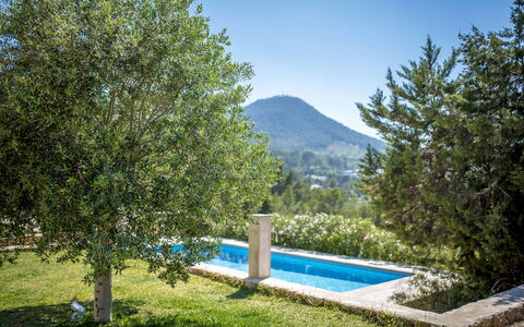 Villa Sharon: Arbuste, Ombre, Jardin, Aménagement Paysager, À Feuilles Persistantes, Eco Hôtel