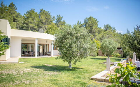 Villa Sharon: Arbuste, Lot Terre, Domicile, Jardin, Biens, Ombre, Aménagement Paysager, Cour, Ferme, Arrière-Cour