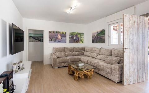 Villa Sabor: Design Intérieur, Sol, Meubles, Sol, Canapé, Bois, Plafond, Pièce, Salon, Appartement