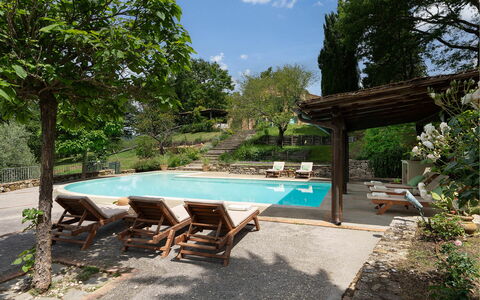 Villa la Foresta: Mobilier De Jardin, Biens, Hacienda, Ombre, Jardin, Dalle, Arrière-Cour, Cour, Villa, Piscine
