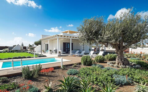 Rosemary: Domicile, Biens, Jardin, Aménagement Paysager, Ombre, Villa, Hacienda, Structure En Plein Air, Conception, Ferme