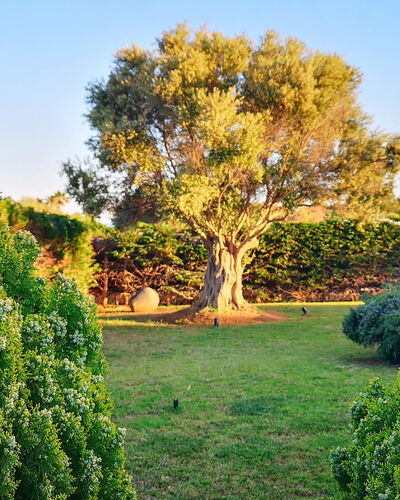 Villa Neper