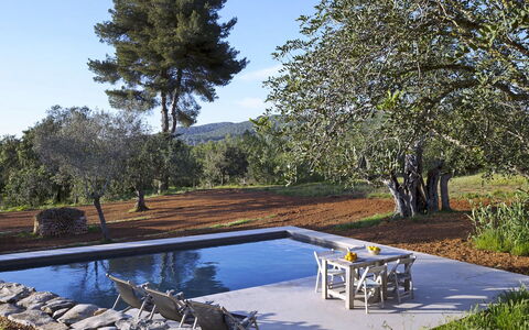 Villa Cave: Piscine, Jardin, Ombre, Aménagement Paysager, Mobilier De Jardin, Caractéristique De L'Eau, Arrière-Cour, Balancelle, Miroir D'Eau, Recours