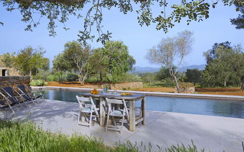 Villa Cave: Arbre, Piscine, Mobilier De Jardin, Aménagement Paysager, Étang, Réflexion, Miroir D'Eau, Dalle