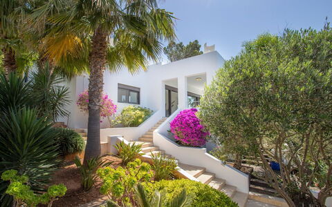Villa Ilona: Arbuste, Jardin, Aménagement Paysager, Biens, Villa, Recours, Hacienda, Cour, Manoir