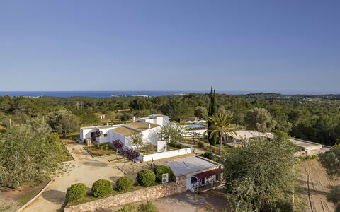 Villa Papiro: Arbre, Zone Résidentielle, Paysage, Domicile, Biens, Lot Terre, Aménagement Paysager, Banlieue, Hacienda, Photographie Aérienne