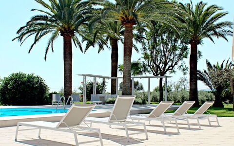 Villa Acapulco: Meubles, Mobilier De Jardin, Chaise, Recours, Ombre, Eco Hôtel, Piscine, Balancelle, Tableau De Plein Air