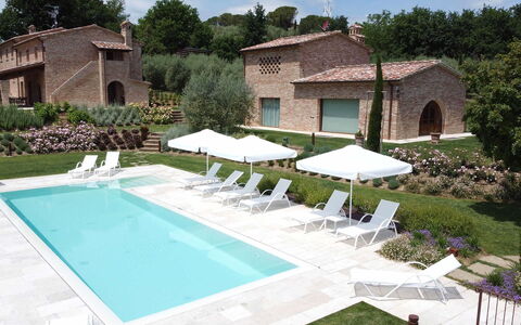 Villa Ripa: Piscine, Mobilier De Jardin, Recours, Jardin, Biens, Aménagement Paysager, Balancelle, Pelouse, Arrière-Cour, Hacienda