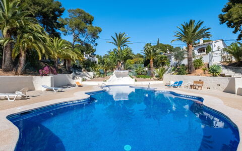 Lisa: Arbre, Recours, Tropiques, Mobilier De Jardin, Ombre, Ville Resort, Piscine, Aménagement Paysager, Eco Hôtel