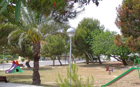 Happy Day: Arbre, Espace Public, Loisir, Botanique, Parc, Vacances, Amusement, Terrain De Jeux, Herbe, Adaptation