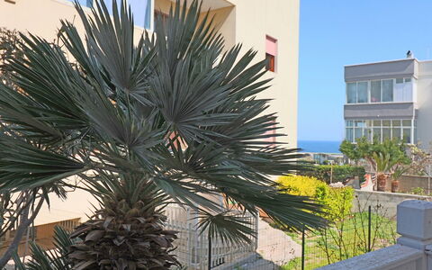 Luisa: Suppression Des Plantes Ligneuses, Balcon