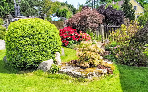 U Kohouta: Vert, Fleur, Feuille, Jardin, Arbuste, Communauté Des Plantes, Couverture De Sol, Pelouse, Suppression Des Plantes Ligneuses