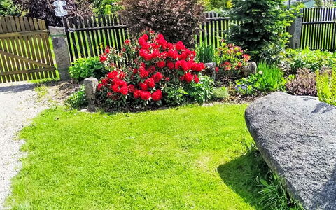 U Kohouta: Fleur, Herbe, Jardin, Arbuste, Pelouse, Couverture De Sol, Arrière-Cour, Cour
