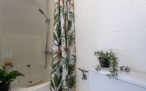 Gilet: Design Intérieur, Luminaire Plomberie, Salle De Bains, Plomberie, Pot De Fleur, Toilette, Plante D'Appartement, Siège De Toilette, Robinet, Évier