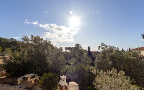 Gilet: Végétation, Paysage, Communauté Des Plantes, Matin, Lumière Du Soleil, Meteorologique Phénomène, Cumulus, Formations Arbustives, Soleil, Chaparral