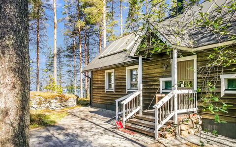 Luhtalemmikki: Herbe, Domicile, Lot Terre, Jardin, Couverture De Sol, Porte, Siding, Ferme, Batiments Jardin