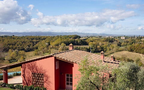 Podere Galieni: Herbe, Arbuste, Lot Terre, Domicile, Zone Rurale, Ferme, Biens, Jardin, Chalet, Aménagement Paysager