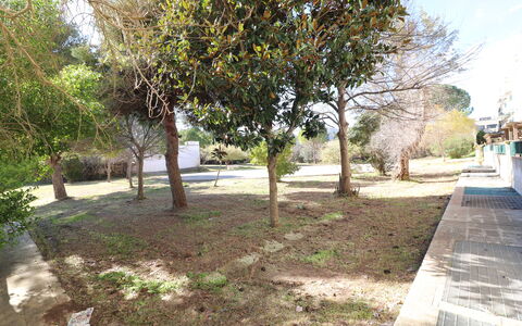 Noemi'S House in Otranto: Feuille, Branche, Tronc, Suppression Des Plantes Ligneuses, Ombre, Jardin, Sol, Aménagement Paysager, Cour, Passerelle