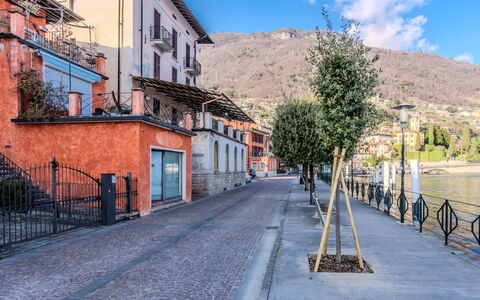 La Terrazza sul Lago: Domicile, Porte, Chalet, Cour, Chaise, Mobilier De Jardin, Arrière-Cour, Tableau De Plein Air, Plante D'Appartement, Store