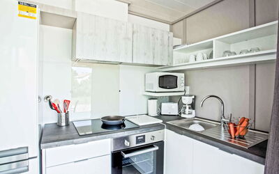 Logement:&nbsp;Lodge Natura 4P 600.1