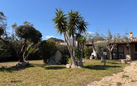 Villetta del Mirto: Arbuste, Jardin, Ombre, Suppression Des Plantes Ligneuses, Aménagement Paysager, Hacienda, Biens, Cour
