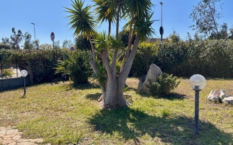 Villetta del Mirto: Arbuste, Jardin, Suppression Des Plantes Ligneuses, Aménagement Paysager, Ombre, Cour, Passerelle, Jardin Botanique