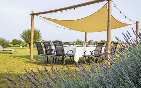 Casa al Gelso: Mobilier De Jardin, Ombre, Jardin, Tableau De Plein Air, Chaise, Patio, Chaise Pliante, Nappe De Table