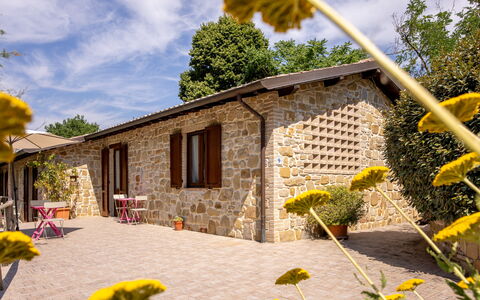 Il Giuncheto Apartments, Pool, Umbrian Countryside: Chalet, Maison, Porte, Domicile, Jardin, Ferme, Pot De Fleur, Biens, Cour, Arrière-Cour