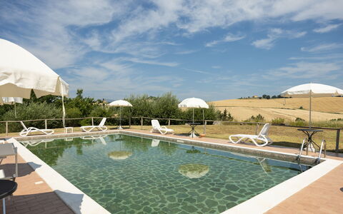 Il Giuncheto Apartments, Pool, Umbrian Countryside: Piscine, Mobilier De Jardin, Chaise, Balancelle, Aménagement Paysager, Recours, Villa, Parapluie
