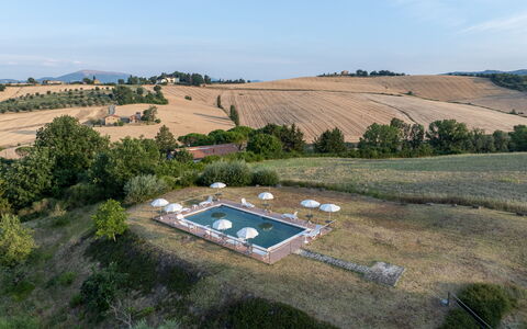 Il Giuncheto Apartments, Pool, Umbrian Countryside: Paysage, Piscine, Plaine, Lot Terre, Biens, Photographie Aérienne, Vue Du Ciel, Aménagement Paysager, Plantation, Champ