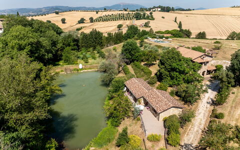 Il Giuncheto Apartments, Pool, Umbrian Countryside: Arbre, Maison, Zone Rurale, Paysage, Domicile, Lot Terre, Établissements Humains, Chalet, Biens