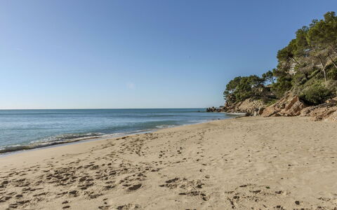 Los Delfines: Piscine, Recours, Biens, Eco Hôtel, Hacienda, Villa, Hôtel, Ville Resort, Station Balnéaire, Manoir