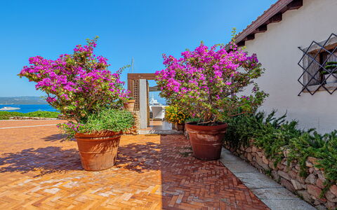 Residenza Rudalza: Fleur, Arbuste, Rose, Pot De Fleur, Jardin, Printemps, Plante D'Appartement, Aménagement Paysager