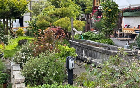 Gartenstudio Belle Vue: Vert, Arbuste, Jardin, Couverture De Sol, Printemps, Jardin Botanique, Aménagement Paysager, Cour, Passerelle