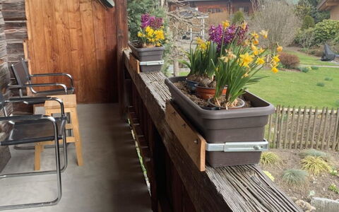 Gartenstudio Belle Vue: Bois, Dur, Tache De Bois, Balcon, Planche, Pot De Fleur, Plante D'Appartement, Structure En Plein Air, Mobilier De Jardin, Lumber