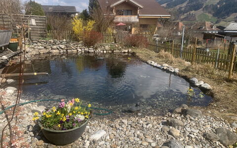 Gartenstudio Belle Vue: L'Eau, Roche, Étang, Jardin, Arrière-Cour, Aménagement Paysager, Réflexion, Caractéristique De L'Eau, Étang À Poissons, Cour