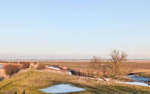 Wischhafen 648: Ciel, Environnement Naturel, Paysage Naturel, Le Marais, Écorégion, Plaine, Prairie