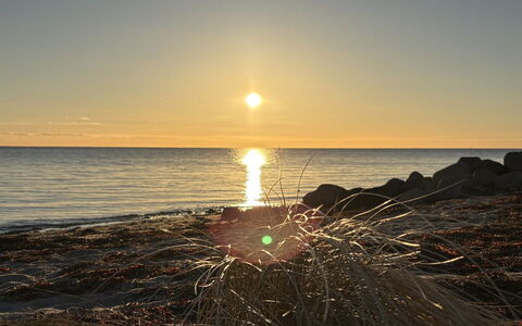 Eleni - 3M from the Sea: Soleil, L'Eau, Horizon, Lever Du Soleil, Le Coucher Du Soleil, Mer, Été, Lumière Du Soleil