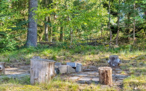 Sigge - 5Km from the Sea: Bois, Domicile, Porche, Plate-Forme, Dur, Toit, Tache De Bois, Parquet, Eco Hôtel