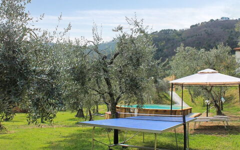 Il Casale di San Jacopo con Piscina Privata: Jardin, Pelouse, Ombre, Mobilier De Jardin, Arrière-Cour, Parc, Cour, Aménagement Paysager