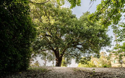 Villa Checco