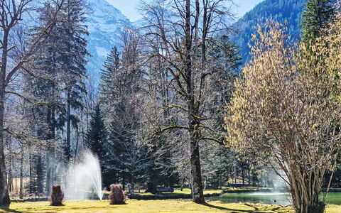 Grubhof: Arbre, La Nature, Branche, L'Hiver, Paysage, Neige, Tronc, Chaîne De Montagnes, Mélèze, Station De Montagne