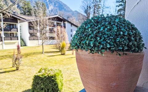 Grubhof: Couverture De Sol, Jardin