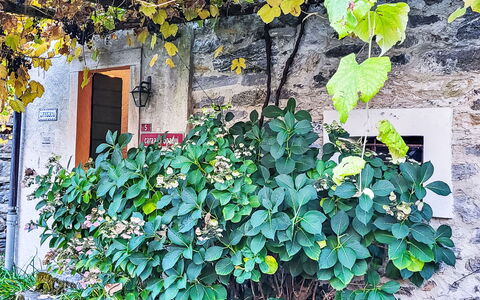 Casa Sambuco: Chaîne De Montagnes, Vallée, Alpes, Crête, Sommet, Quartier Général