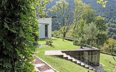 Uggine 66: Jardin, Ombre, Pelouse, Aménagement Paysager, Cour, Parc