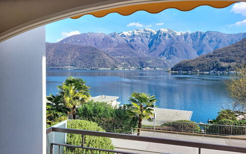 Apt. Marina: Jardin, Ombre, Pelouse, Aménagement Paysager, Cour, Parc