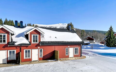 Svanhågna Gård: Bois, Chalet, Domicile, Maison, Toit, Siding, L'Hiver, Neige, Gelé, Pente