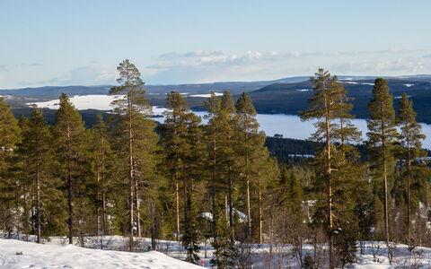 Svanhågna Gård: Bois, Chalet, Domicile, Maison, Toit, Siding, L'Hiver, Neige, Gelé, Pente